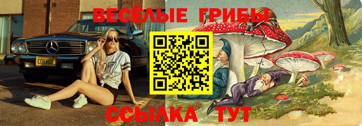 что такое   Вход с VPN  Костомукша  Галлюциногенные грибы MAGIC MUSHROOMS 