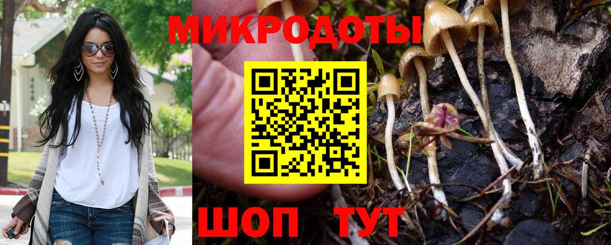 Галлюциногенные грибы Cubensis Костомукша
